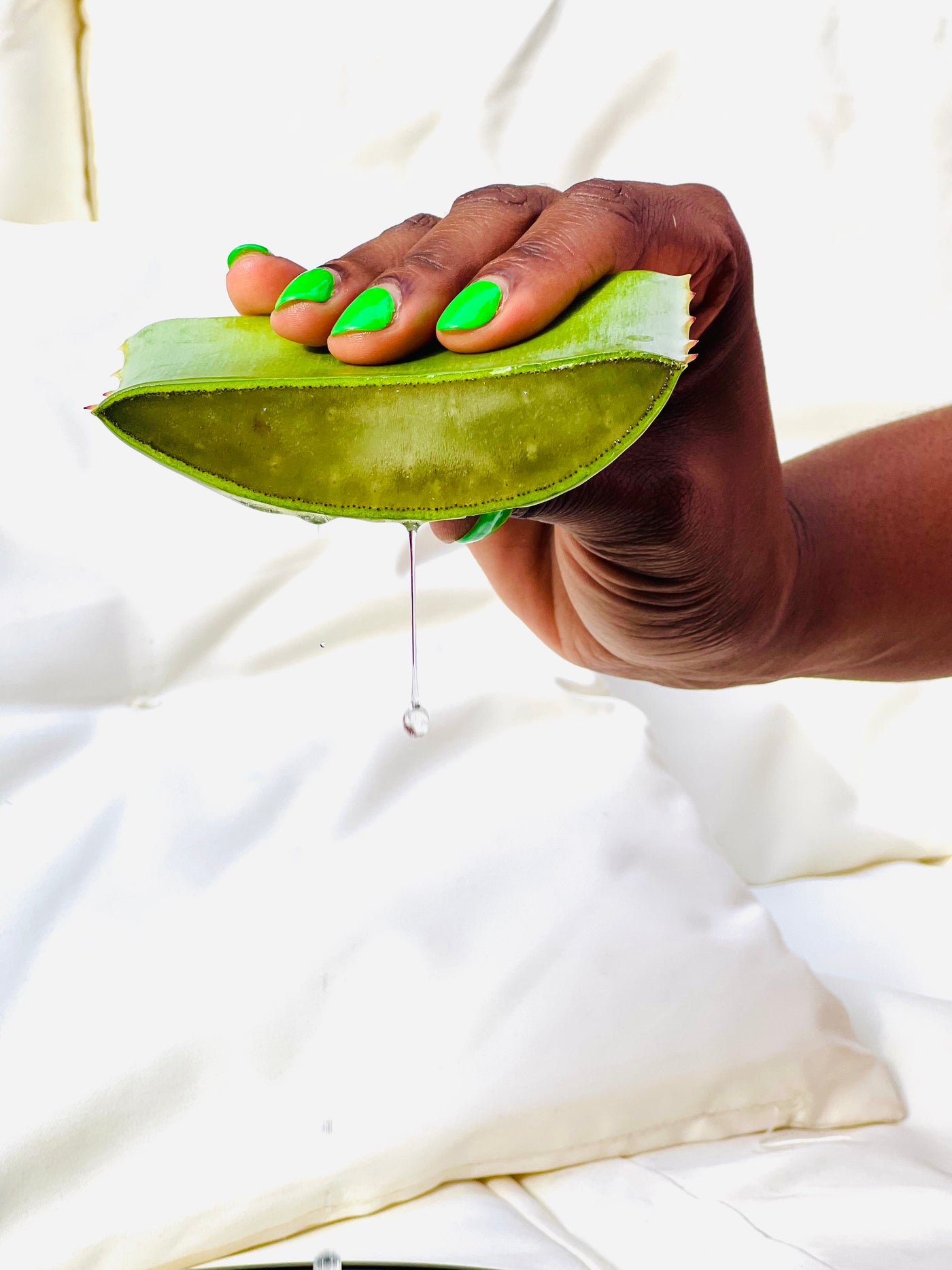 Why is Aloe Vera Our Core Ingredient? AfroHairCandy