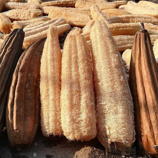 Linuka — The Wild Loofah Ancestral Skin Scrubber