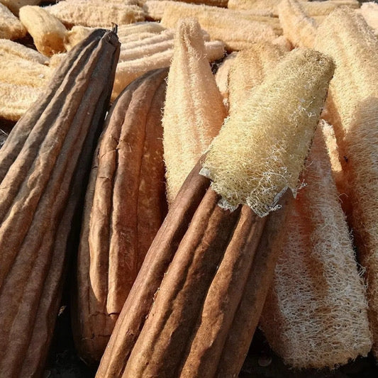 Linuka — The Wild Loofah Ancestral Skin Scrubber