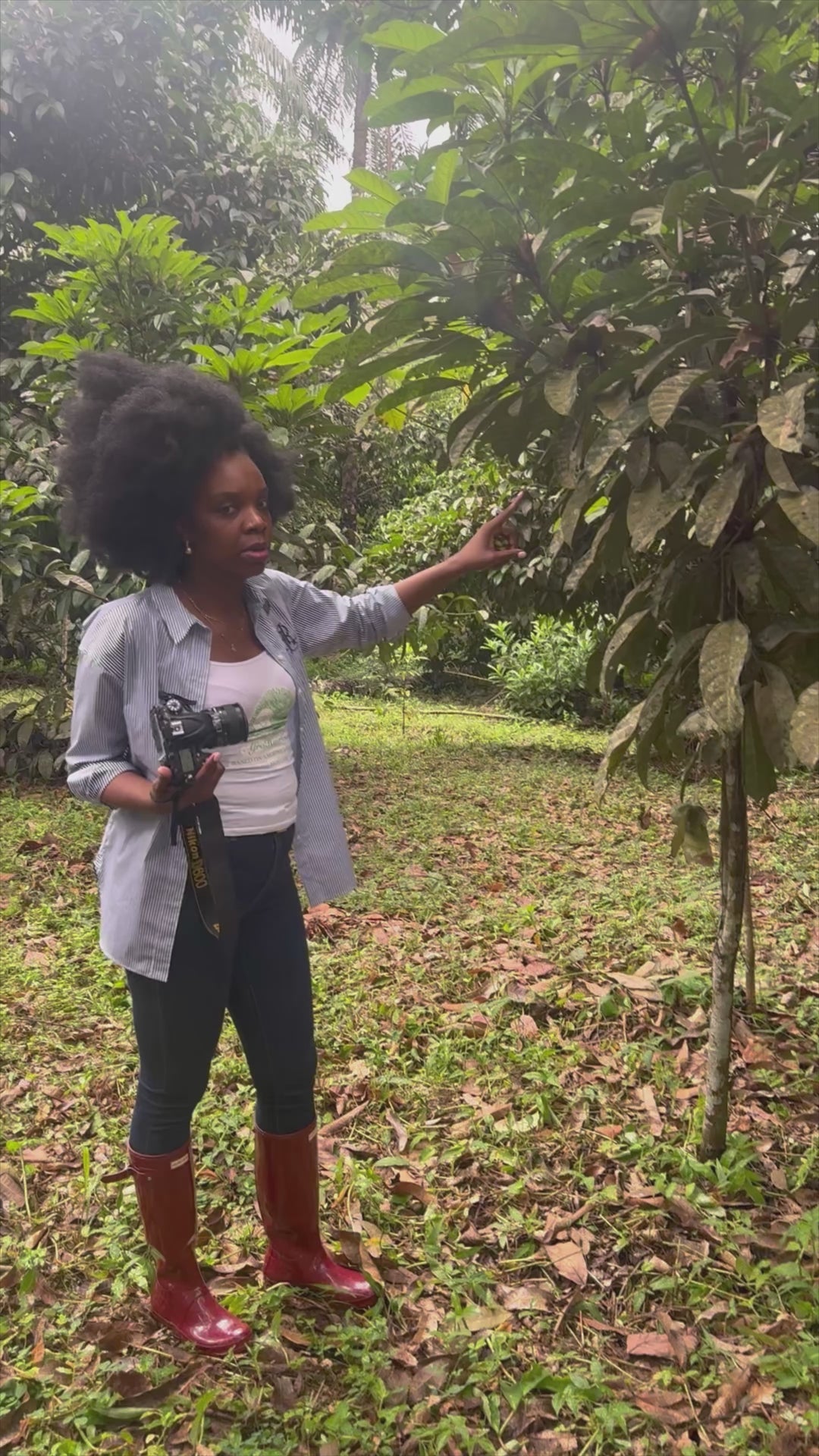 Kola Nut Hair Growth Elixir